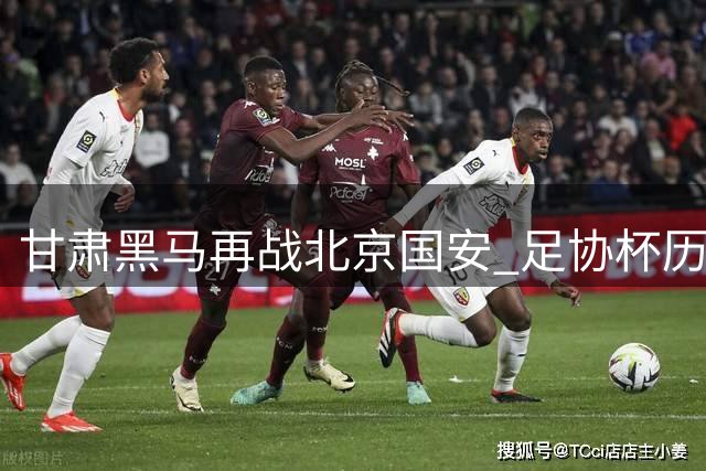 甘肃黑马再战北京国安 足协杯历史会重演吗？